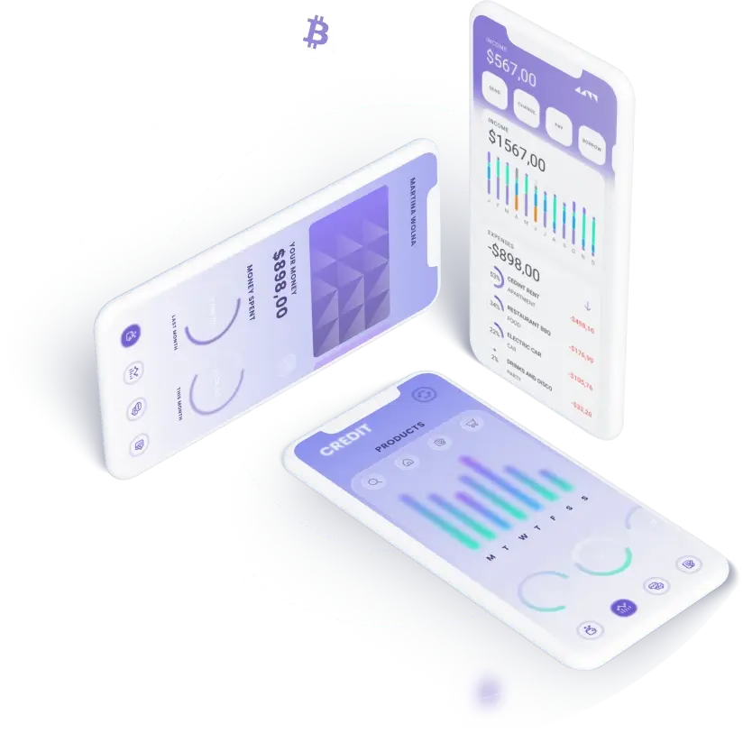 Finorexus - The Finorexus Application
